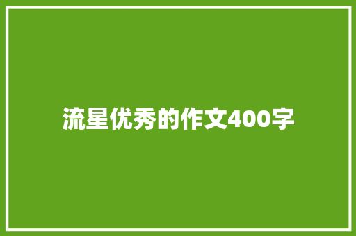 流星优秀的作文400字