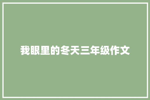 我眼里的冬天三年级作文 范文赏析