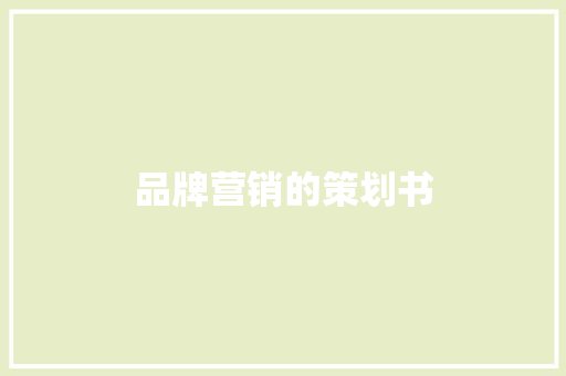 品牌营销的策划书 报告写作