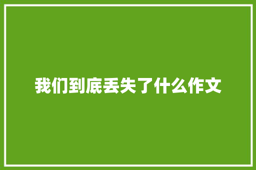 我们到底丢失了什么作文