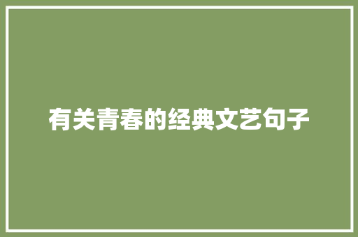 有关青春的经典文艺句子 写作社区