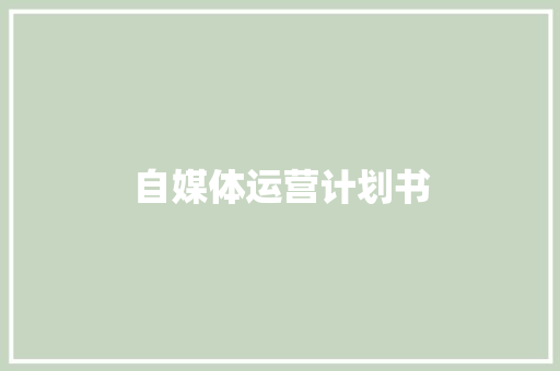 自媒体运营计划书