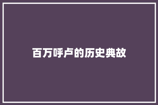 百万呼卢的历史典故 简历模板