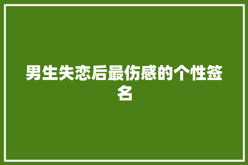 男生失恋后最伤感的个性签名 范文赏析