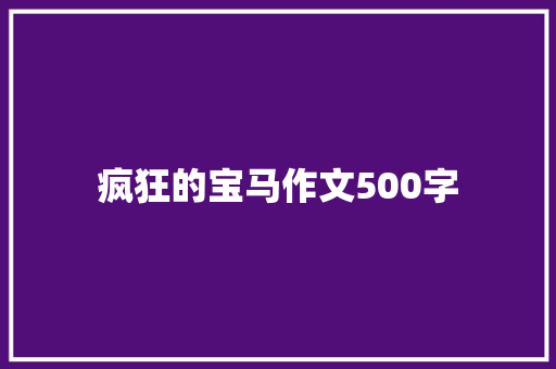 疯狂的宝马作文500字 报告写作