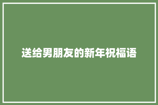 送给男朋友的新年祝福语