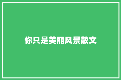 你只是美丽风景散文 词汇积累