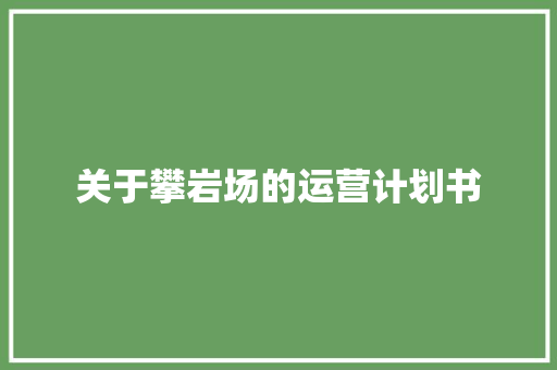 关于攀岩场的运营计划书 报告写作