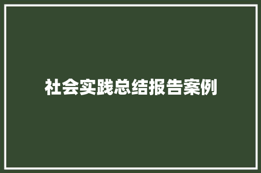 社会实践总结报告案例 简历模板