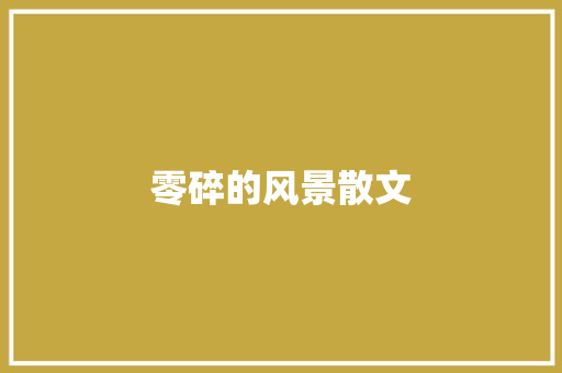 零碎的风景散文
