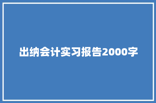 出纳会计实习报告2000字 词汇积累