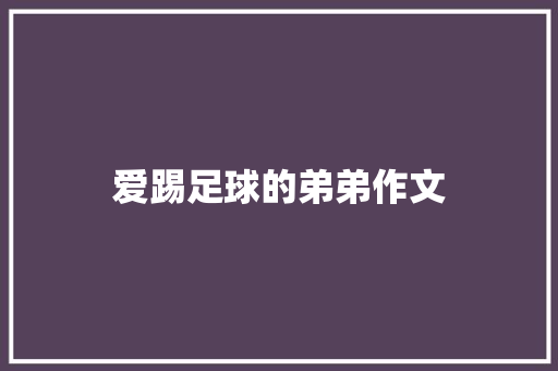 爱踢足球的弟弟作文 报告写作