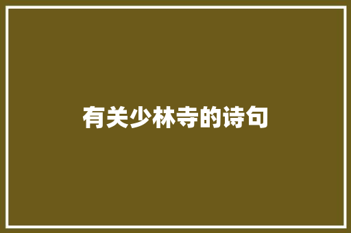 有关少林寺的诗句