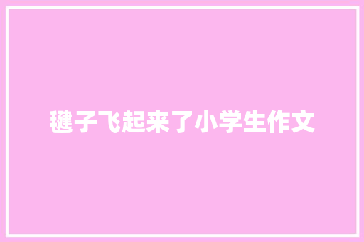 毽子飞起来了小学生作文 词汇积累