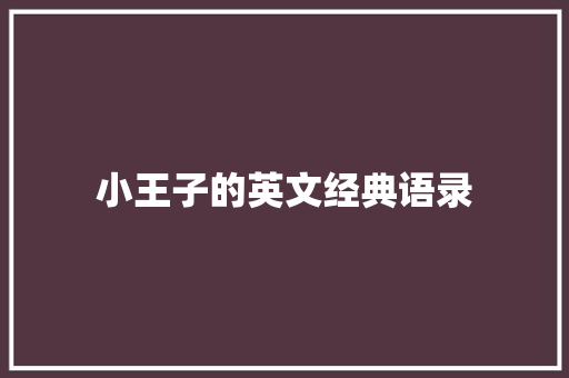 小王子的英文经典语录