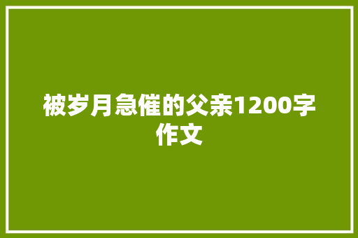 被岁月急催的父亲1200字作文 词汇积累