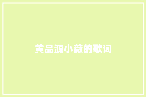 黄品源小薇的歌词 写作技巧