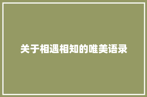 关于相遇相知的唯美语录 写作素材