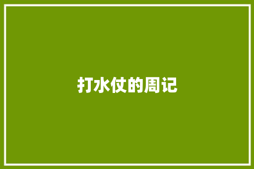 打水仗的周记