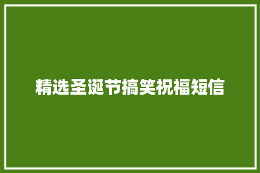 精选圣诞节搞笑祝福短信 报告写作