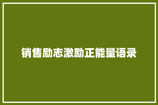 销售励志激励正能量语录