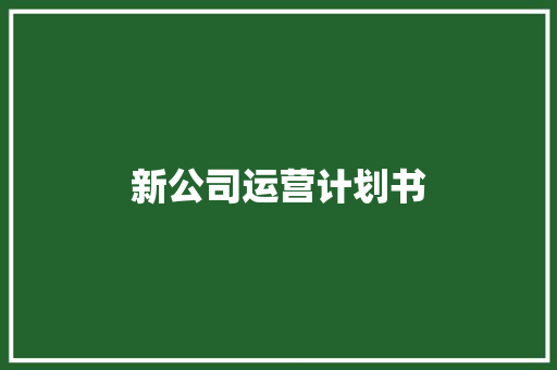 新公司运营计划书