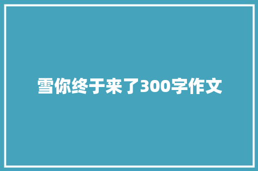 雪你终于来了300字作文 范文赏析