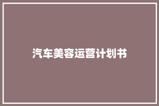 汽车美容运营计划书