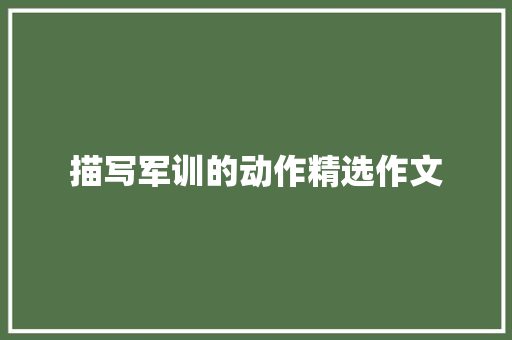 描写军训的动作精选作文 商业文案
