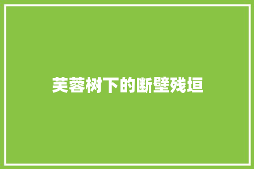 芙蓉树下的断壁残垣 范文赏析