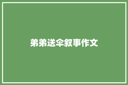 弟弟送伞叙事作文 词汇积累