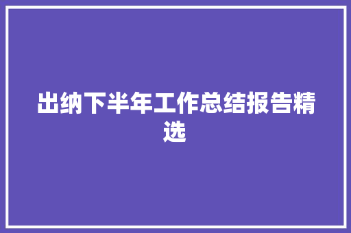 出纳下半年工作总结报告精选