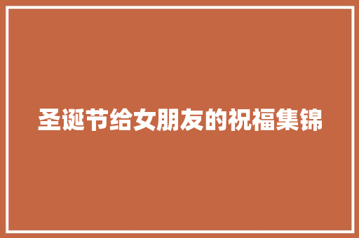 圣诞节给女朋友的祝福集锦 词汇积累