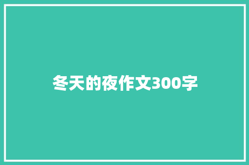 冬天的夜作文300字