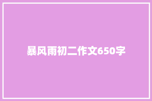 暴风雨初二作文650字 写作技巧