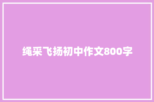绳采飞扬初中作文800字 写作技巧