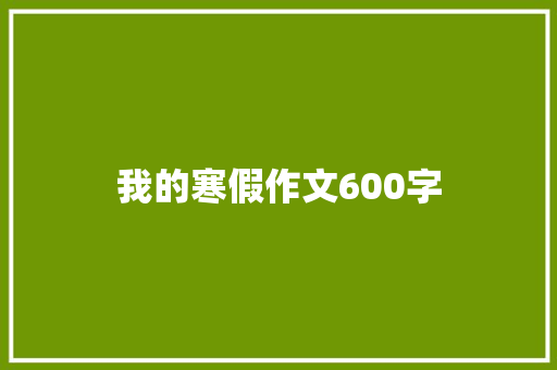 我的寒假作文600字