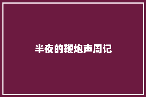 半夜的鞭炮声周记 诗歌创作
