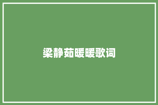 梁静茹暖暖歌词