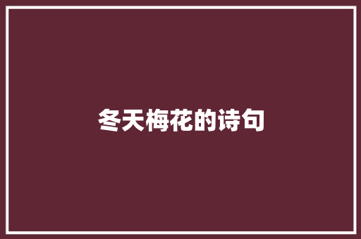 冬天梅花的诗句