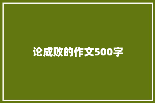 论成败的作文500字