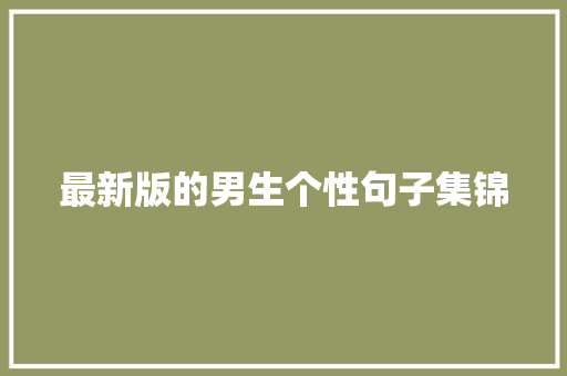 最新版的男生个性句子集锦 商业文案