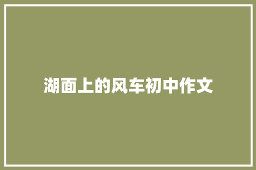 湖面上的风车初中作文 写作素材