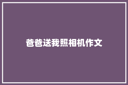 爸爸送我照相机作文 写作技巧