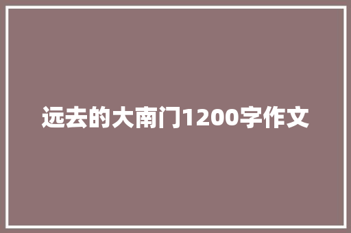 远去的大南门1200字作文 词汇积累