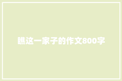 瞧这一家子的作文800字 写作素材