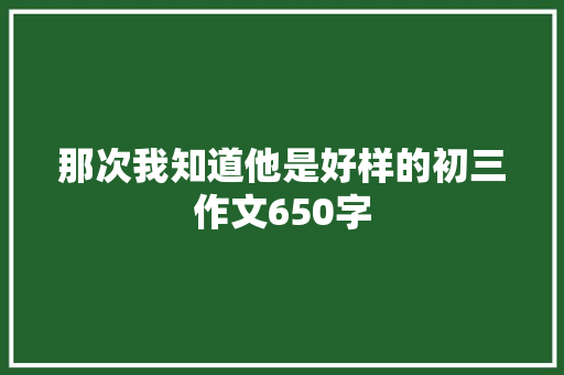 那次我知道他是好样的初三作文650字 简历模板