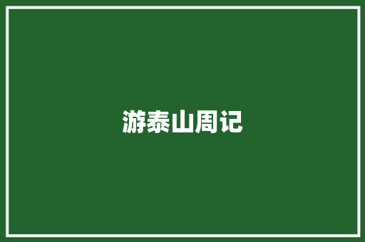 游泰山周记 简历模板