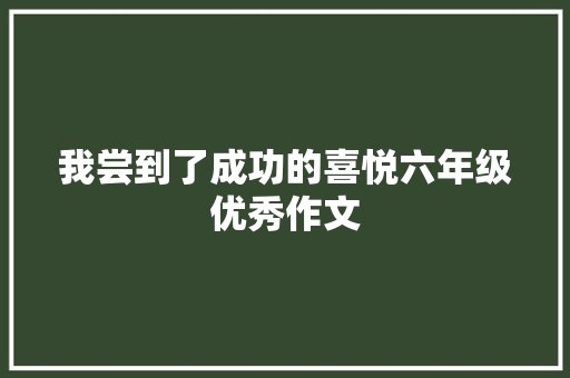 我尝到了成功的喜悦六年级优秀作文
