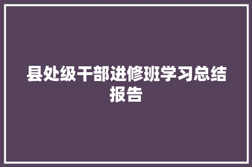 县处级干部进修班学习总结报告 商业文案